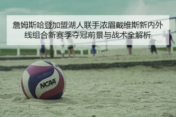 詹姆斯哈登加盟湖人联手浓眉戴维斯新内外线组合新赛季夺冠前景与战术全解析
